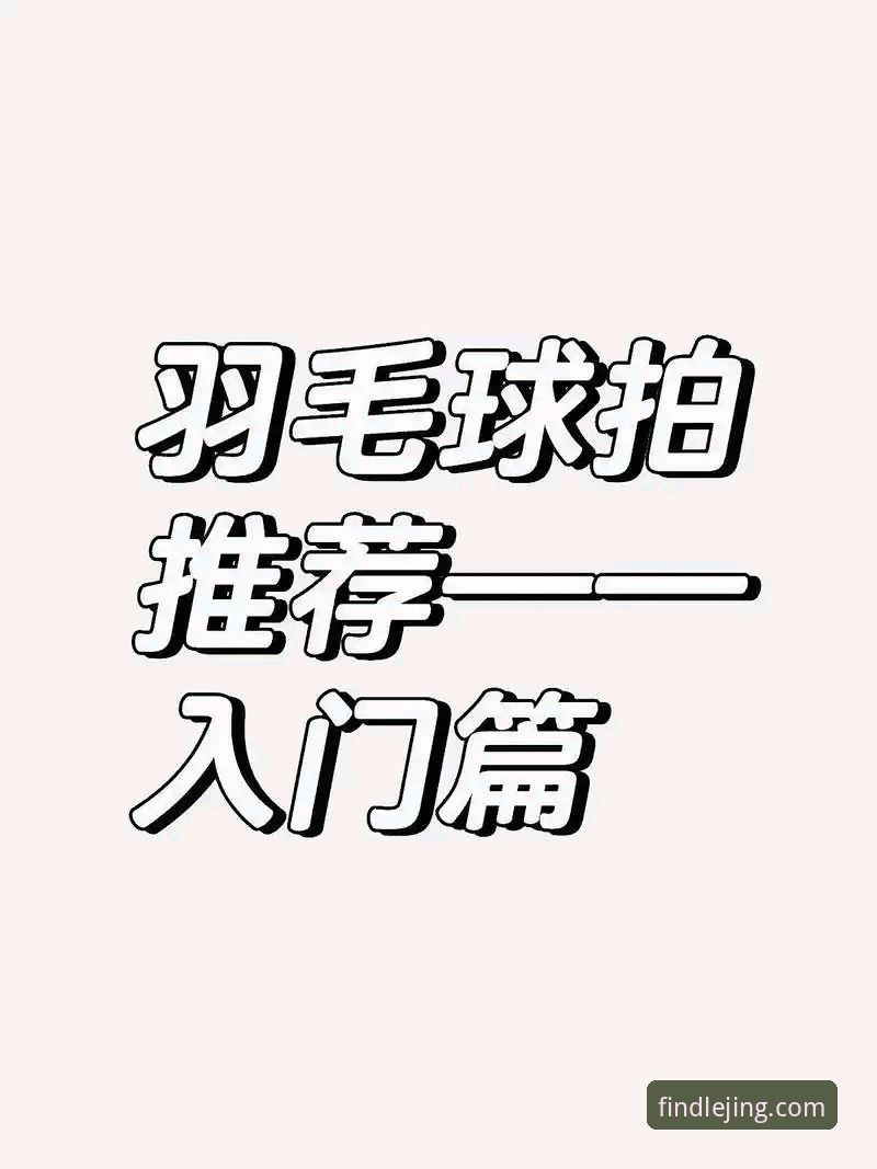 乐竟体育平台新手入门指南：官网入口、APP下载与APP使用全面介绍